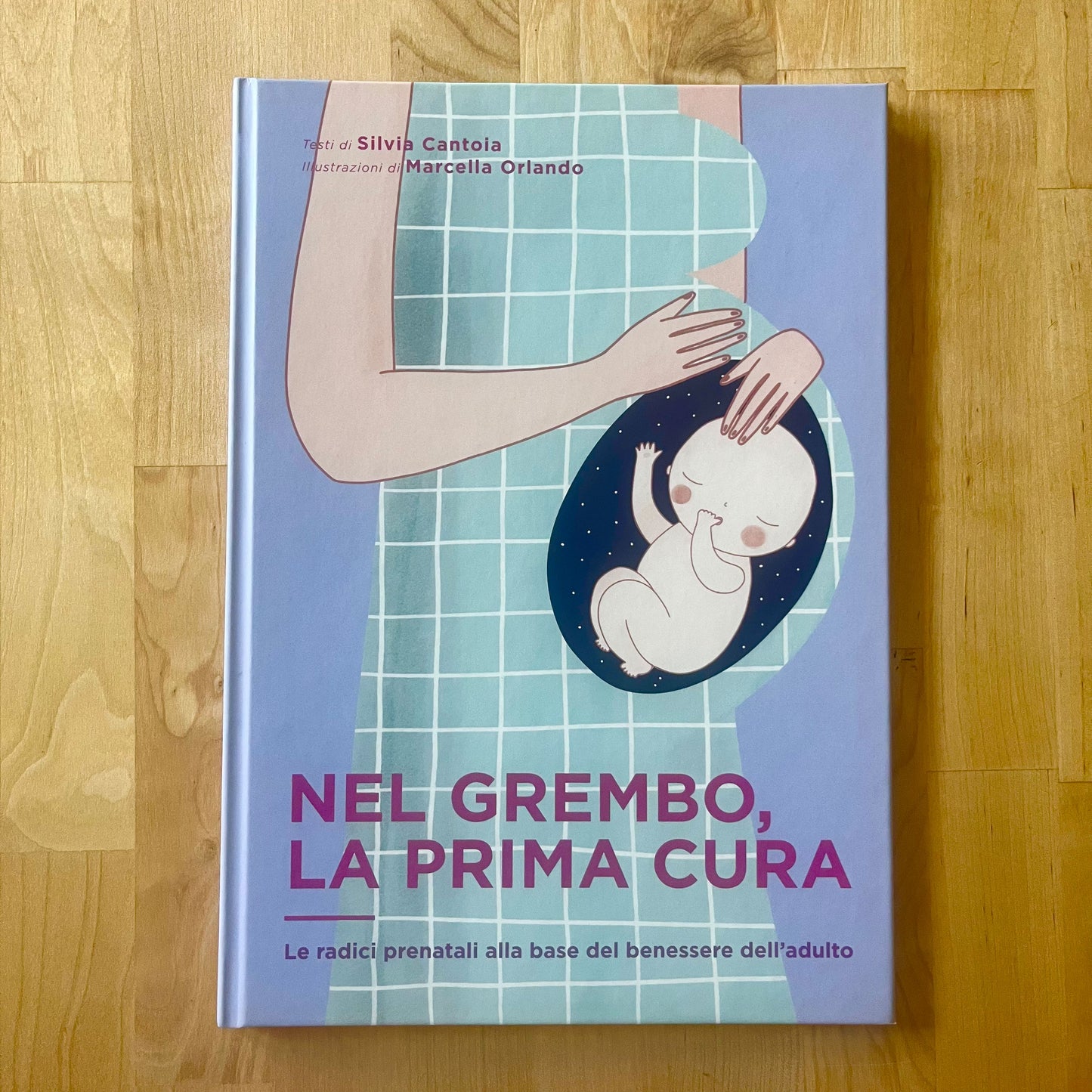 nel grembo la prima cura