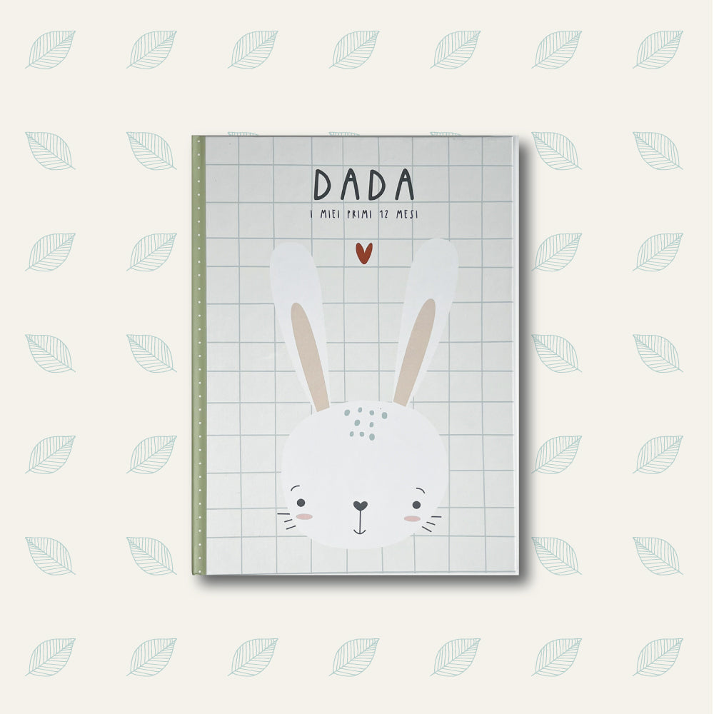 dada_i miei primi 12 mesi_hem